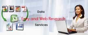 Data Entry and Web Research Services