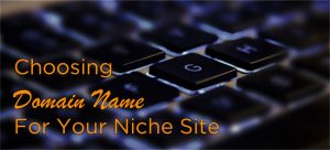 How to Choose a Niche Domain For Your Site