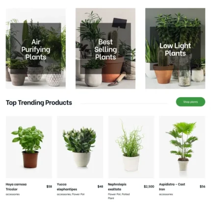 Plant Shop Website Design with Free VPS Web Hosting