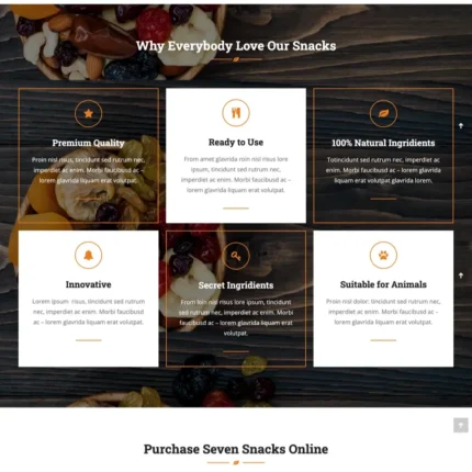 Small Store Website Design with Free VPS Web Hosting