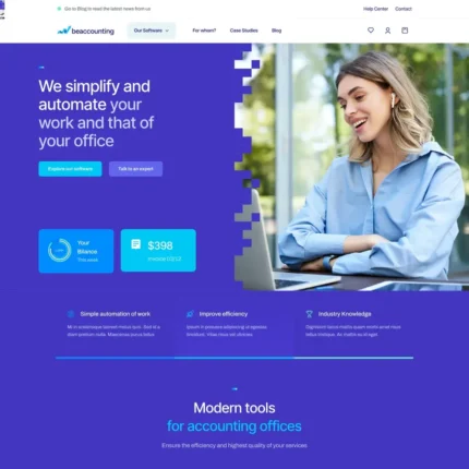 Accountant Software Website Design with Free Web Hosting