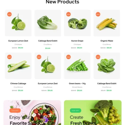 Health Food Store Website Design with Free VPS Web Hosting