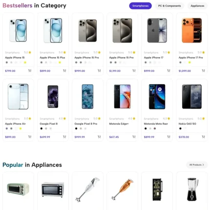 Electronics Outlet Website Design with Free VPS Web Hosting